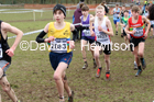 Boys under-13s, 2020 British Athletics Inter Counties Cross Country Champs., Prestwold Hall, Loughborough. Photo: David T. Hewitson/Sports for All Pics